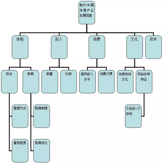 体育行业分析 体育行业分析