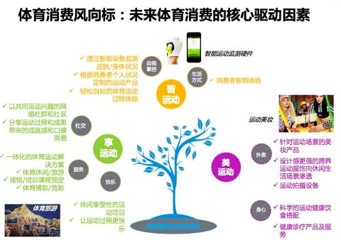 增城 互联网体育 增城 互联网体育