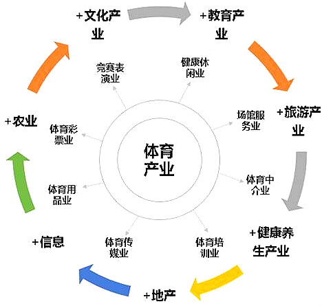 体育行业和产业 体育行业和产业