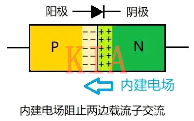 二极管 单向导电 二极管 单向导电