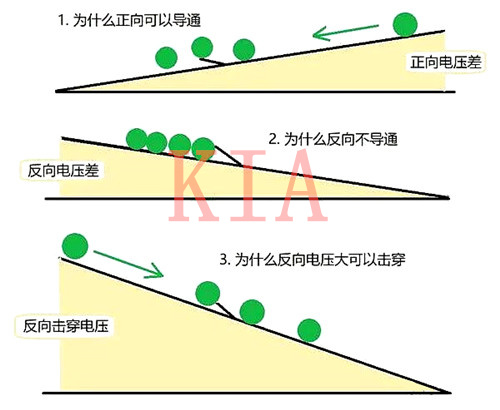 二极管 单向导电 二极管 单向导电